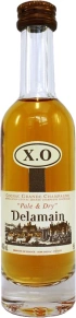 Коньяк Pale & Dry, Delamain, XO, 25 лет, 0.05 л