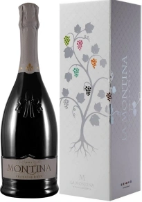 Игристое вино Franciacorta Brut, Montina, DOCG, 2023, 1.5 л (п/у)