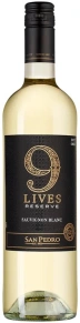 Вино 9 Lives Fierce Reserve Sauvignon Blanc, Gato Negro, 2025, 0.75 л