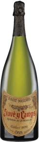 Игристое вино Cava de la Familia, Juve y Camps, Reserva, 2014, 3 л