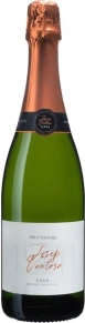 Игристое вино Cava Brut Nature, Josep Ventosa, DO, 0.75 л
