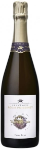 Шампанское Terre d'Irizee, Champagne Regis Poissinet, 2017, 0.75 л