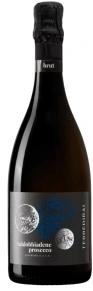 Игристое вино Valdobbiadene Prosecco Superiore Brut, Terre di Rai, DOCG, 2024, 0.75 л