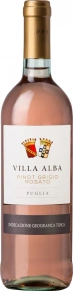Вино Pinot Grigio Rosato, Villa Alba, IGT, 2019, 0.75 л