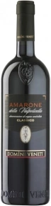 Вино Amarone della Valpolicella Classico, Domini Veneti, DOC, 2006, 0.75 л