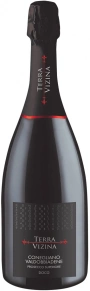 Игристое вино Conegliano Valdobbiadene Prosecco Superiore Extra Dry, Terra Vizina, DOC, 0.75 л
