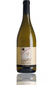 Вино Planta Collio Bianco, DOC, 2004, 0.75 л