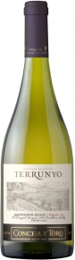 Вино Sauvignon Blanc, Terrunyo, 0.75 л